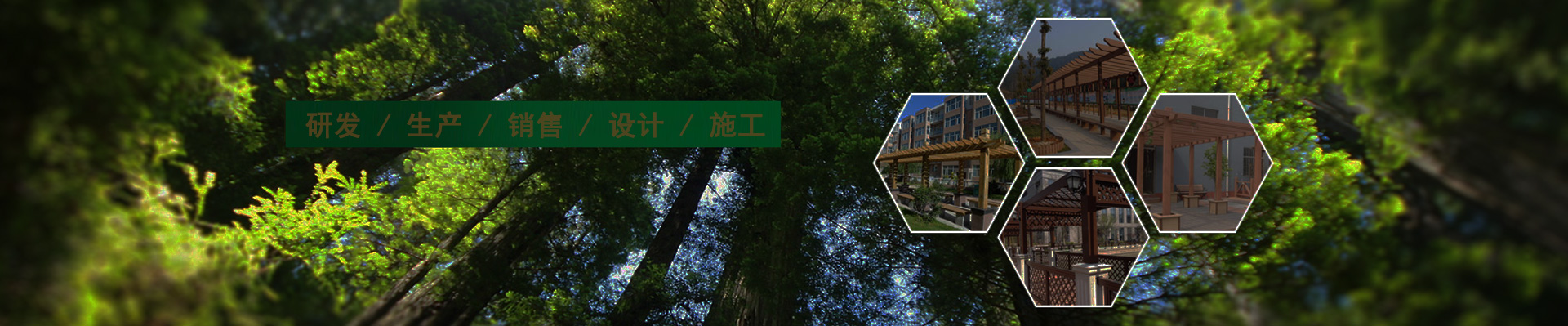 企业动态